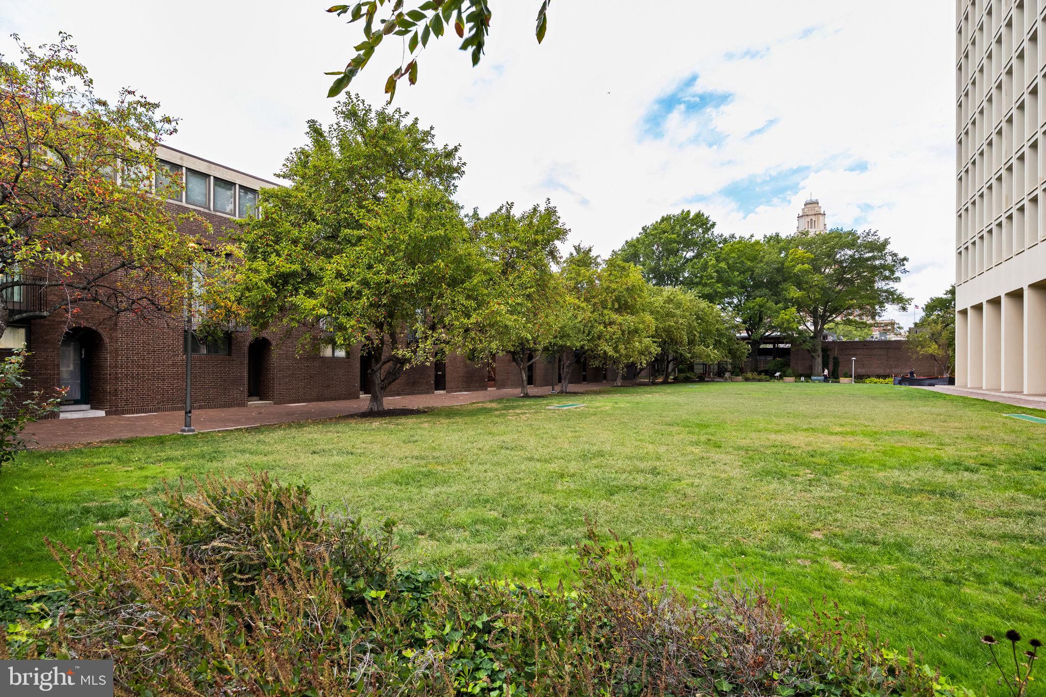 242 LOCUST STREET