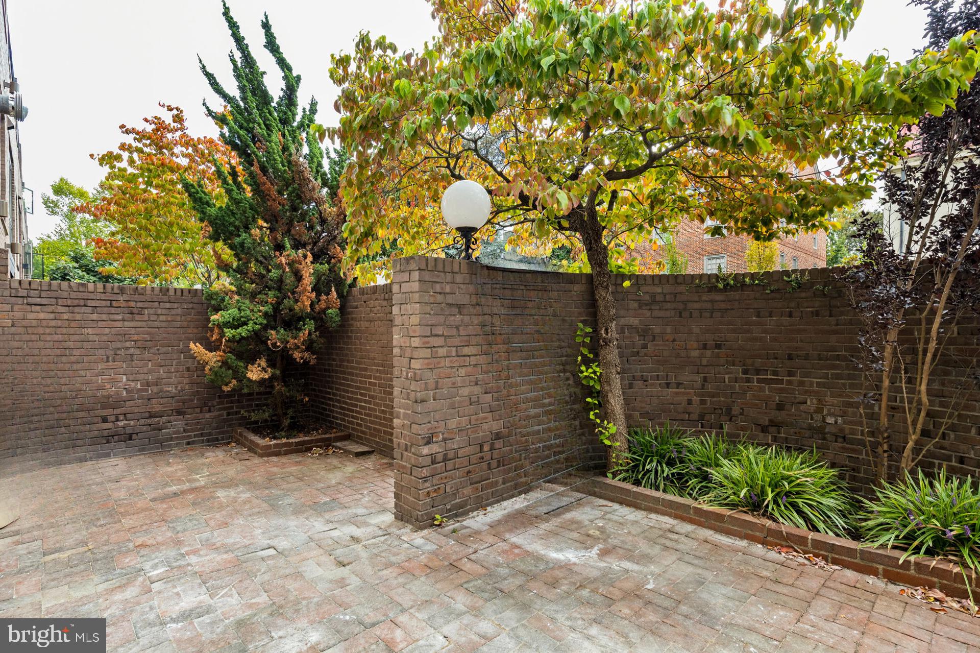 242 LOCUST STREET