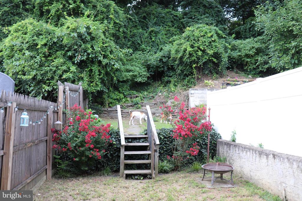 317 W SALAIGNAC STREET
