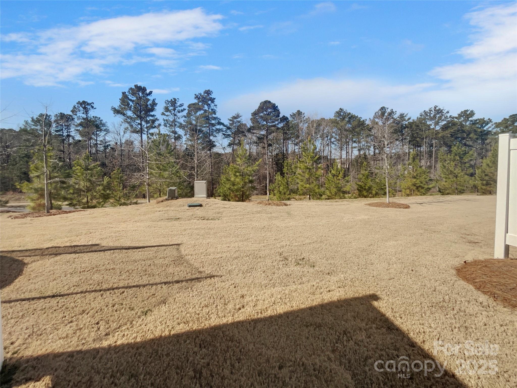 1234 Pebble Grove Drive