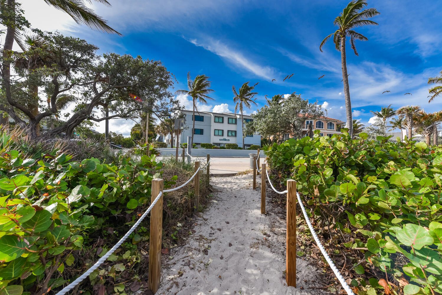 250 S Ocean Boulevard Unit: 275
