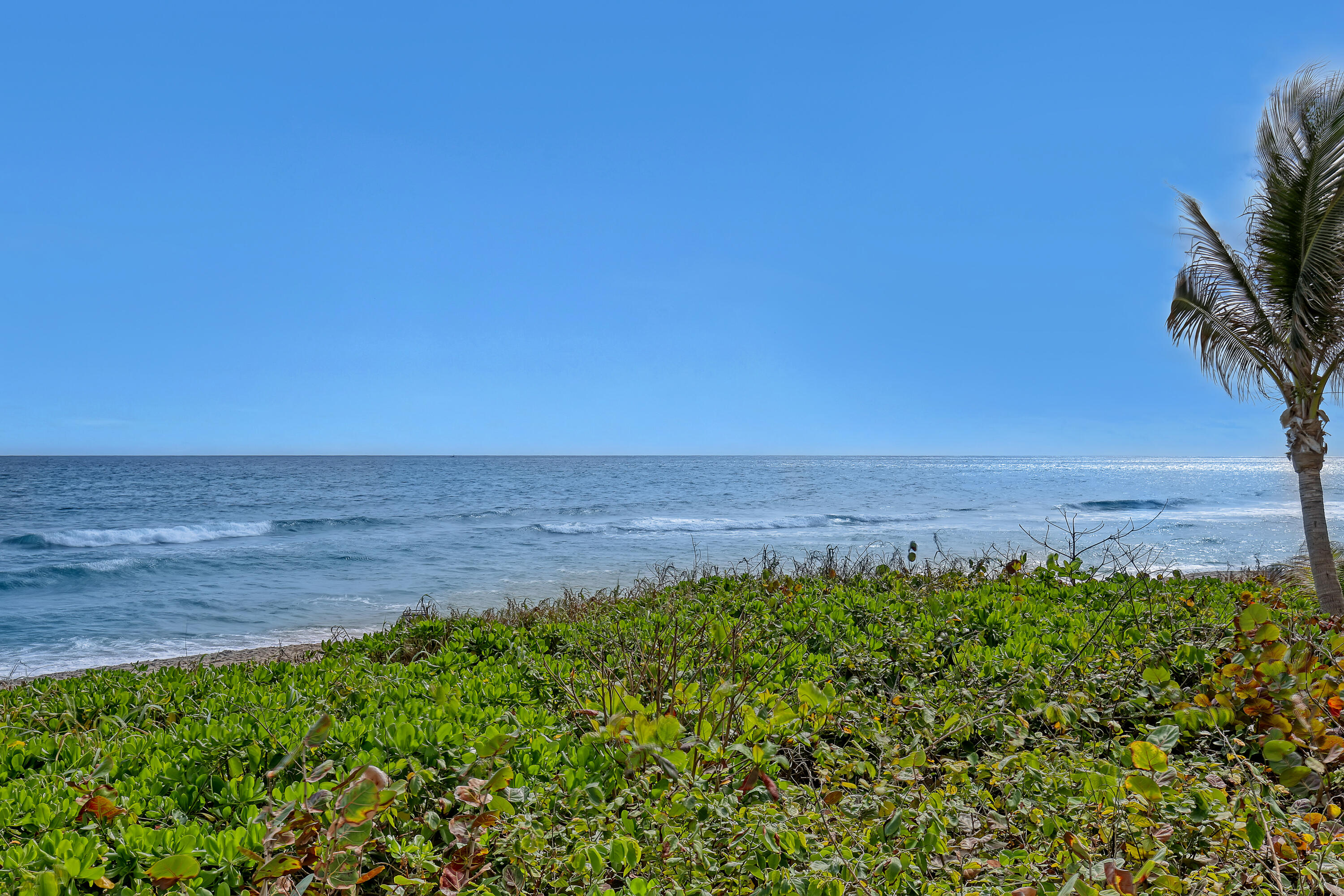 3301 S Ocean Boulevard 905