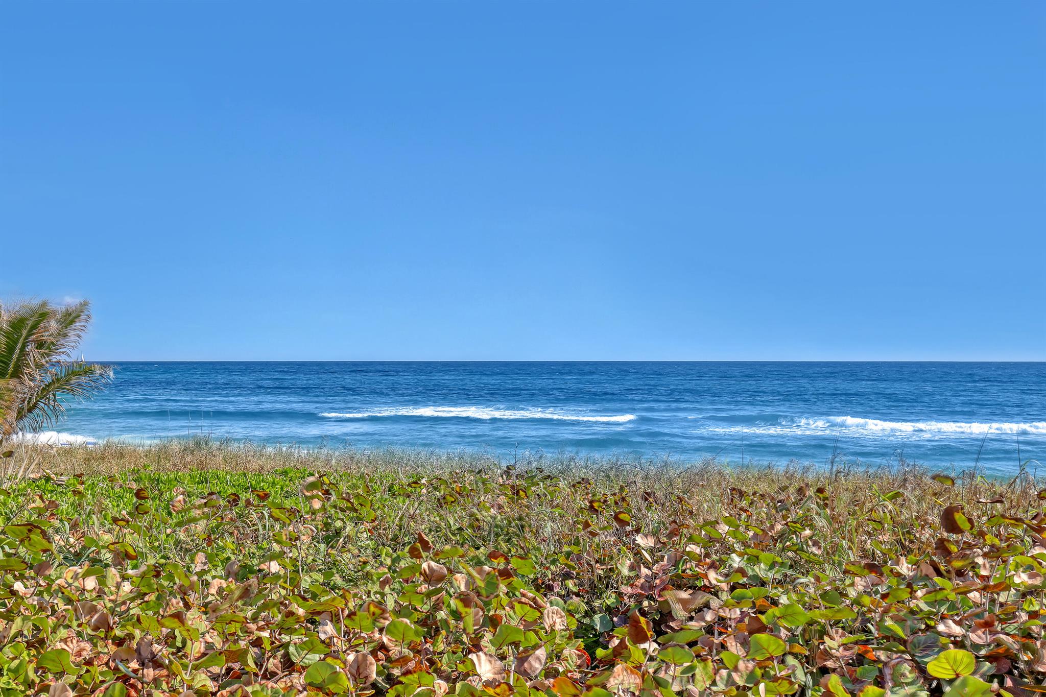 3301 S Ocean Boulevard 905