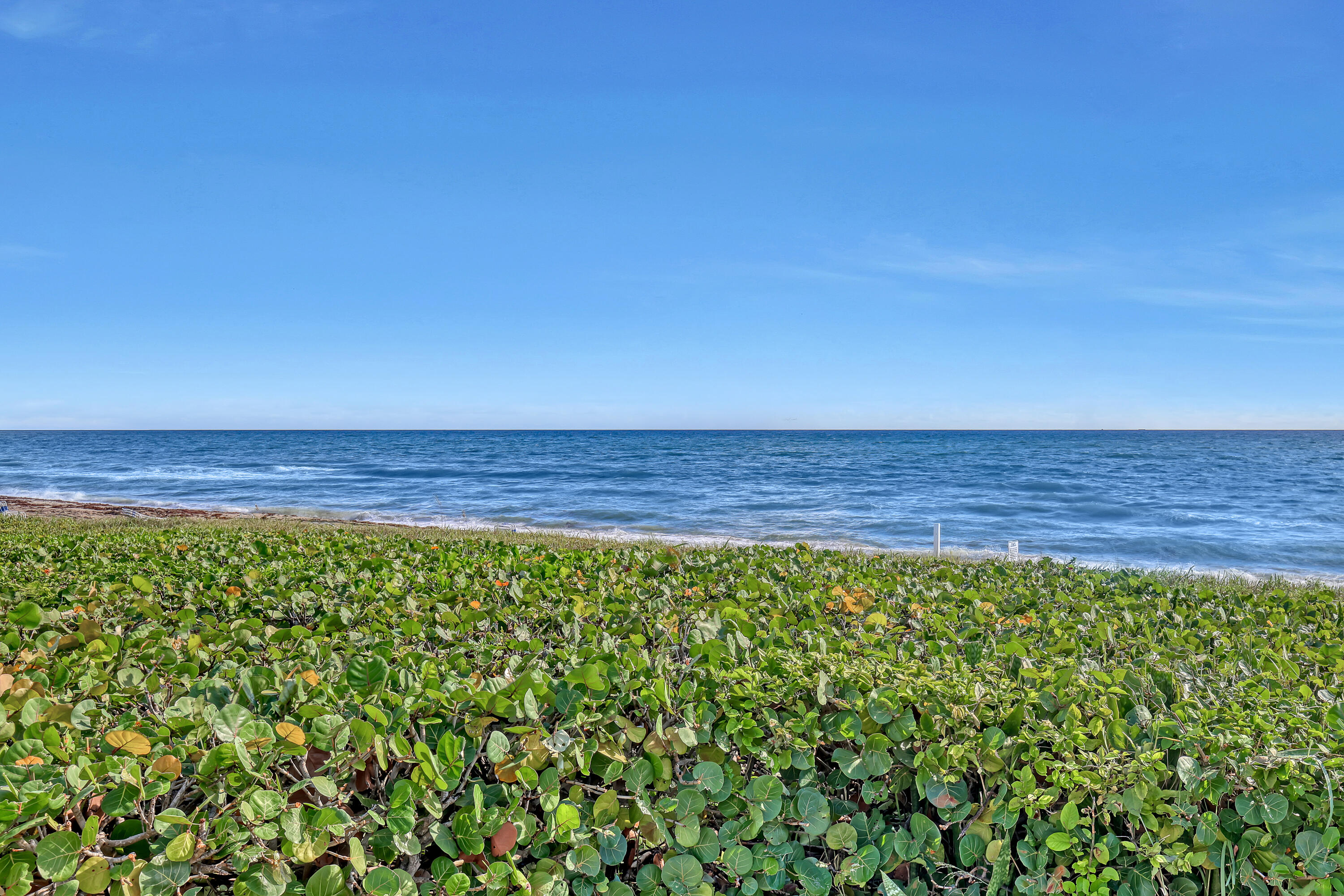 3301 S Ocean Boulevard 905