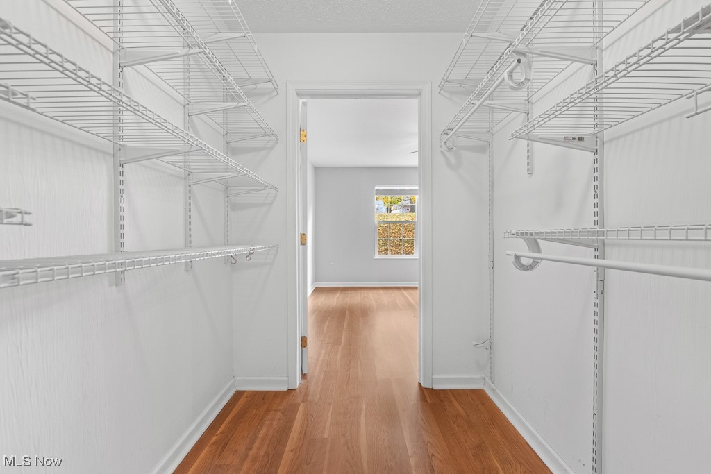 554 Morningstar Drive