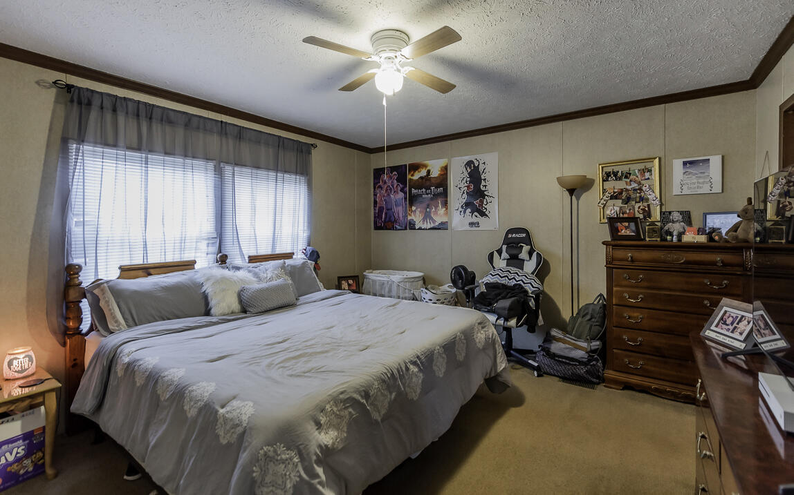 250 Appaloosa Drive, 95