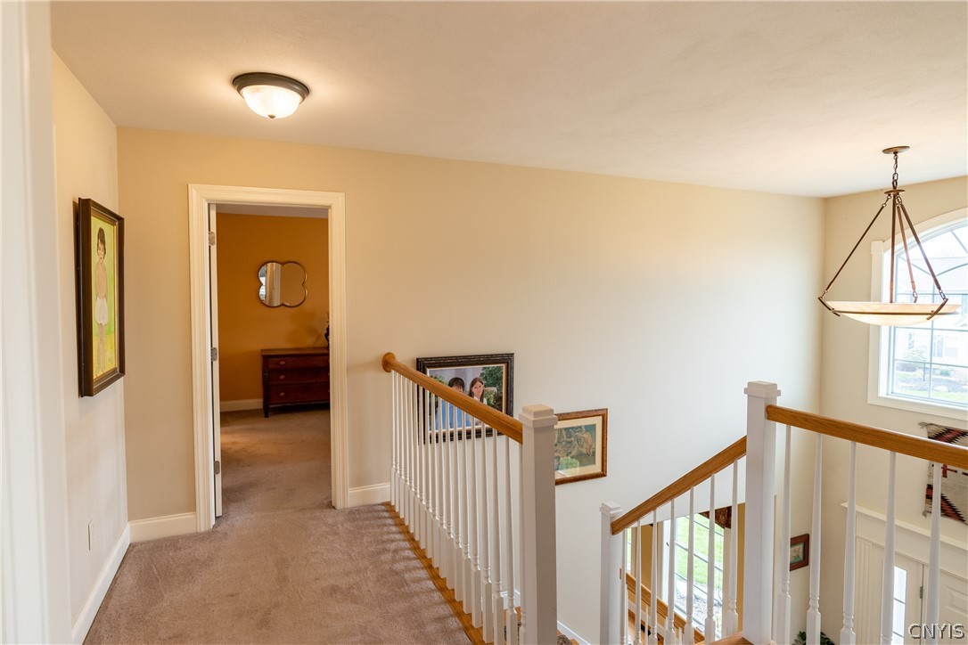 5016 Horizon Terrace