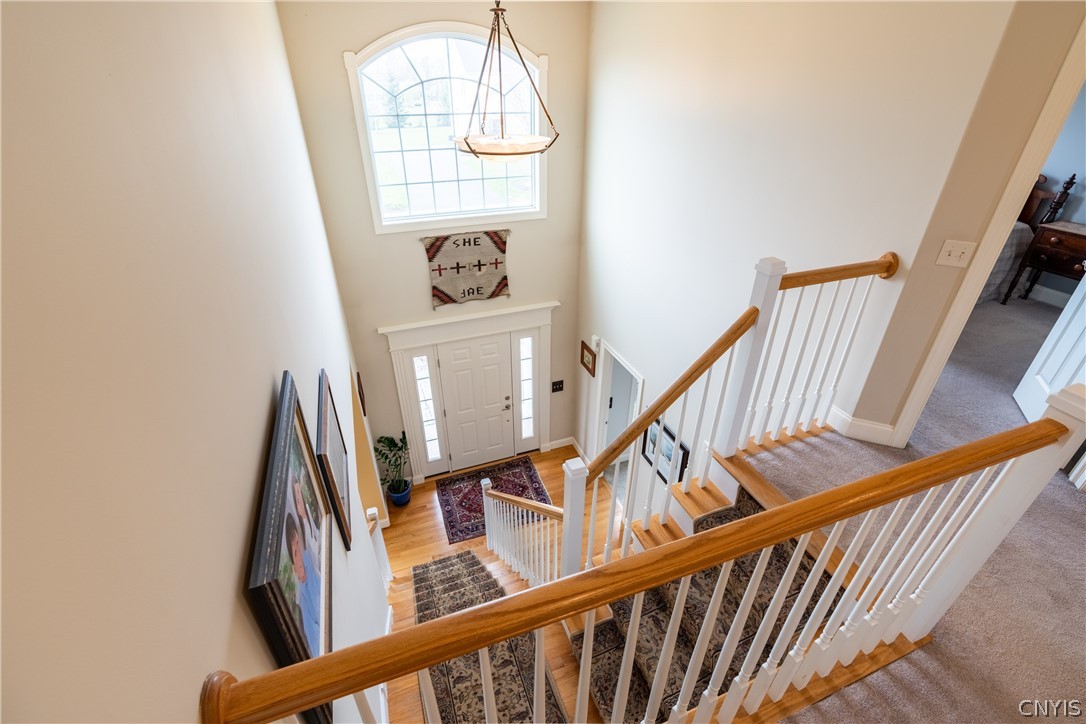 5016 Horizon Terrace