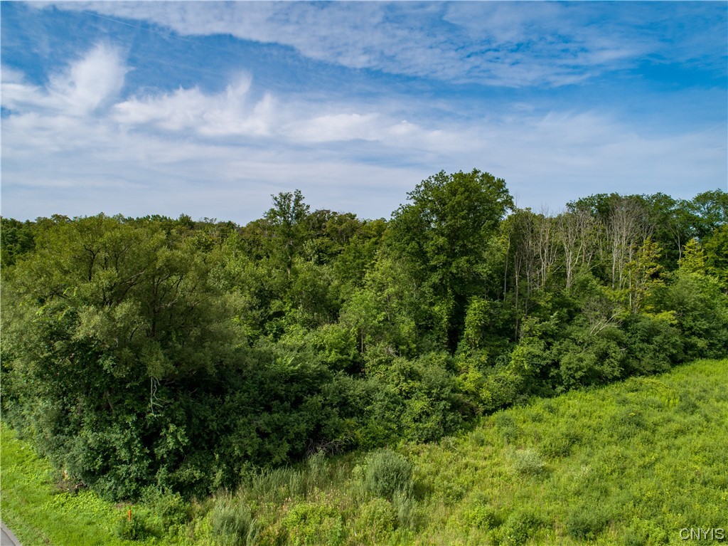 Lot #17 County Line Road Unit: 17