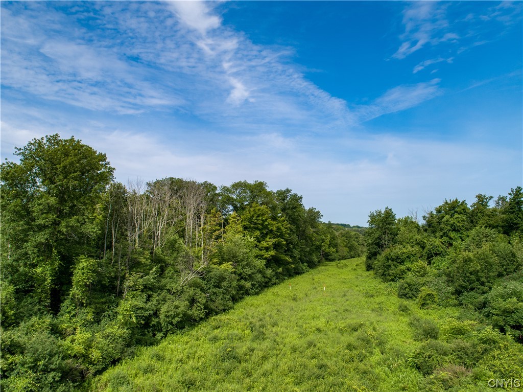 Lot #17 County Line Road Unit: 17
