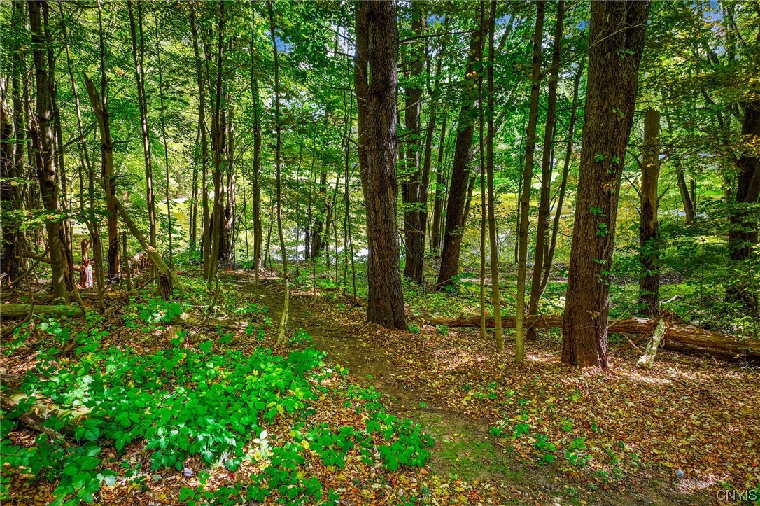 2628 Lamson Road