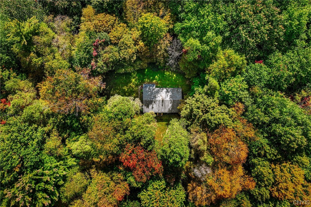 2628 Lamson Road
