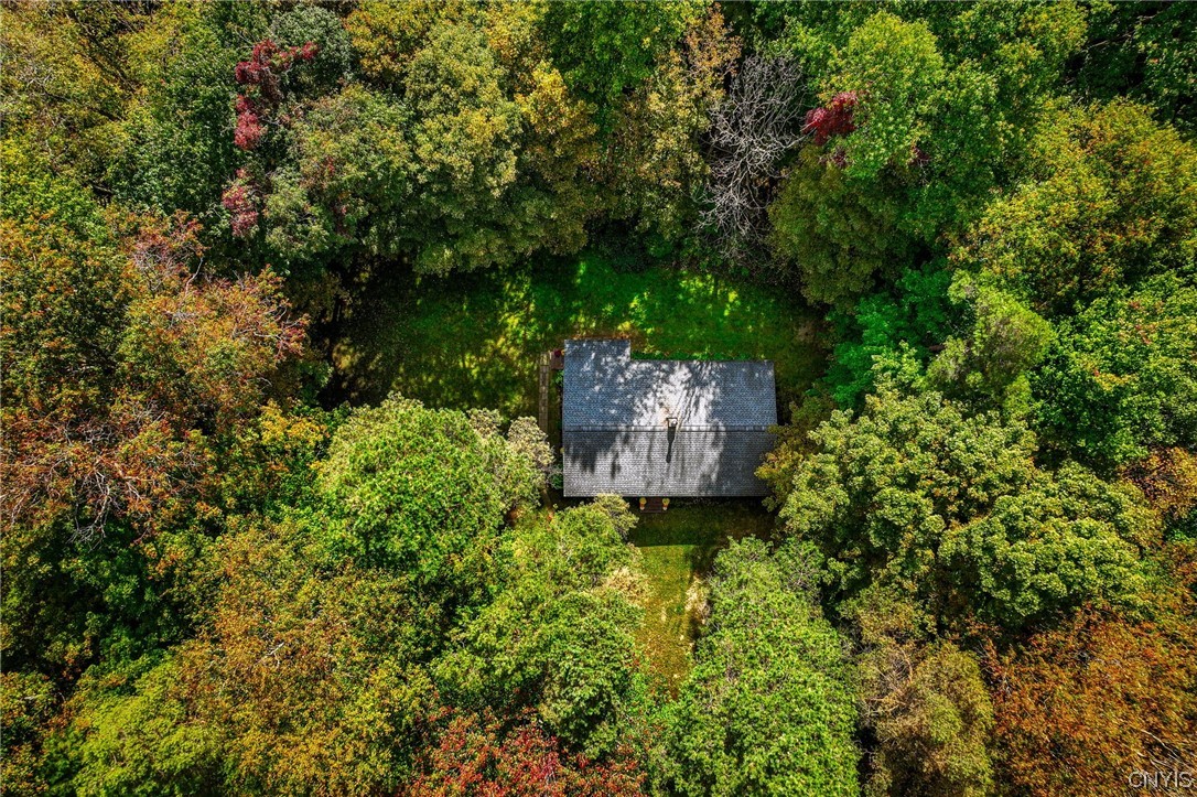 2628 Lamson Road