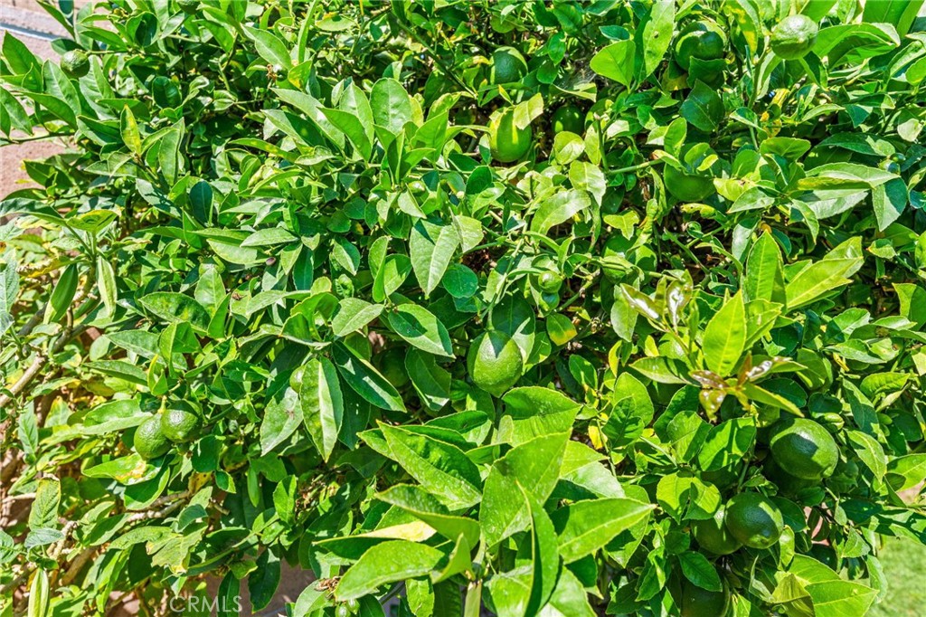 6051 Santa Barbara Avenue