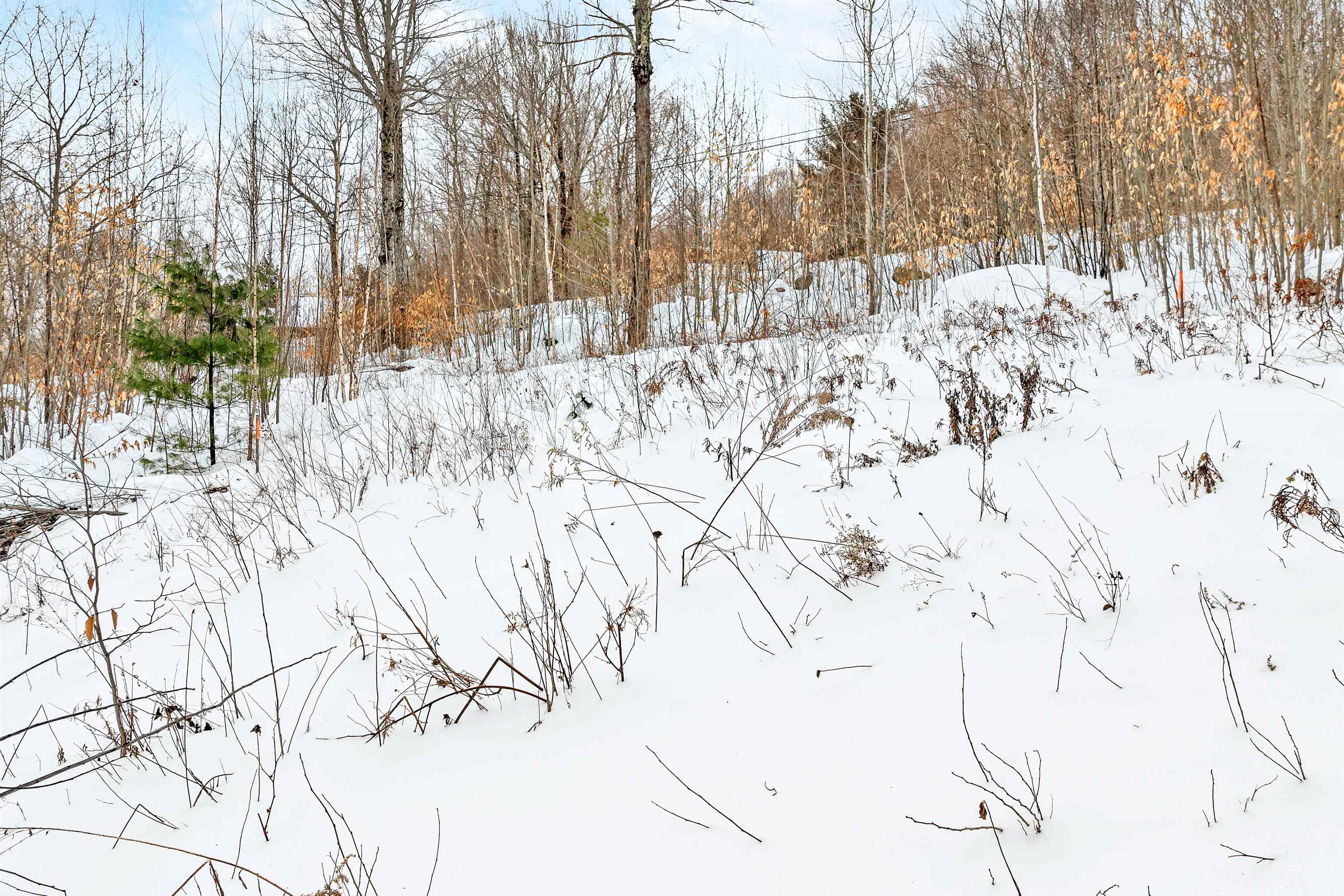 160 Alton Mountain Road Unit: 7