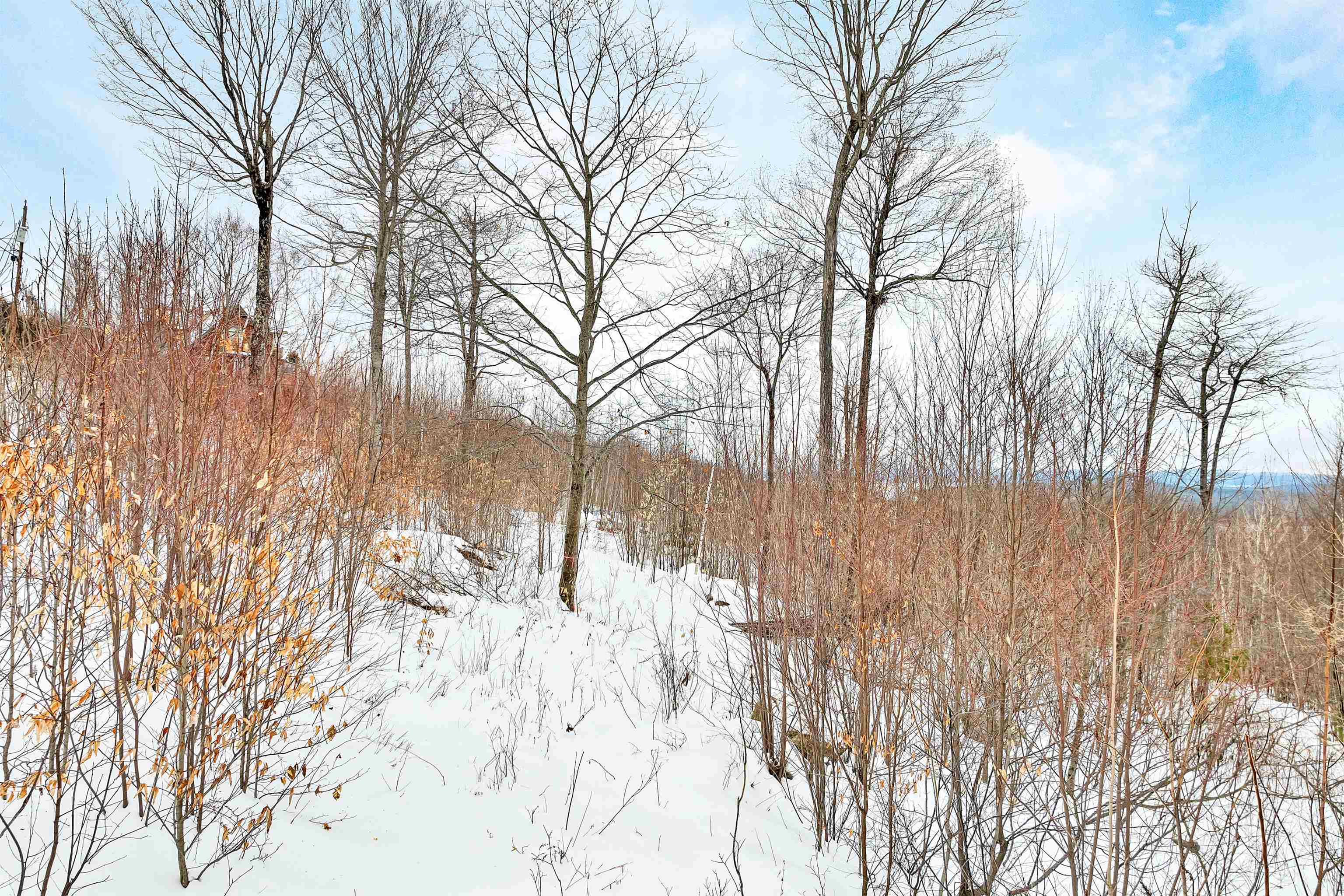 160 Alton Mountain Road Unit: 7