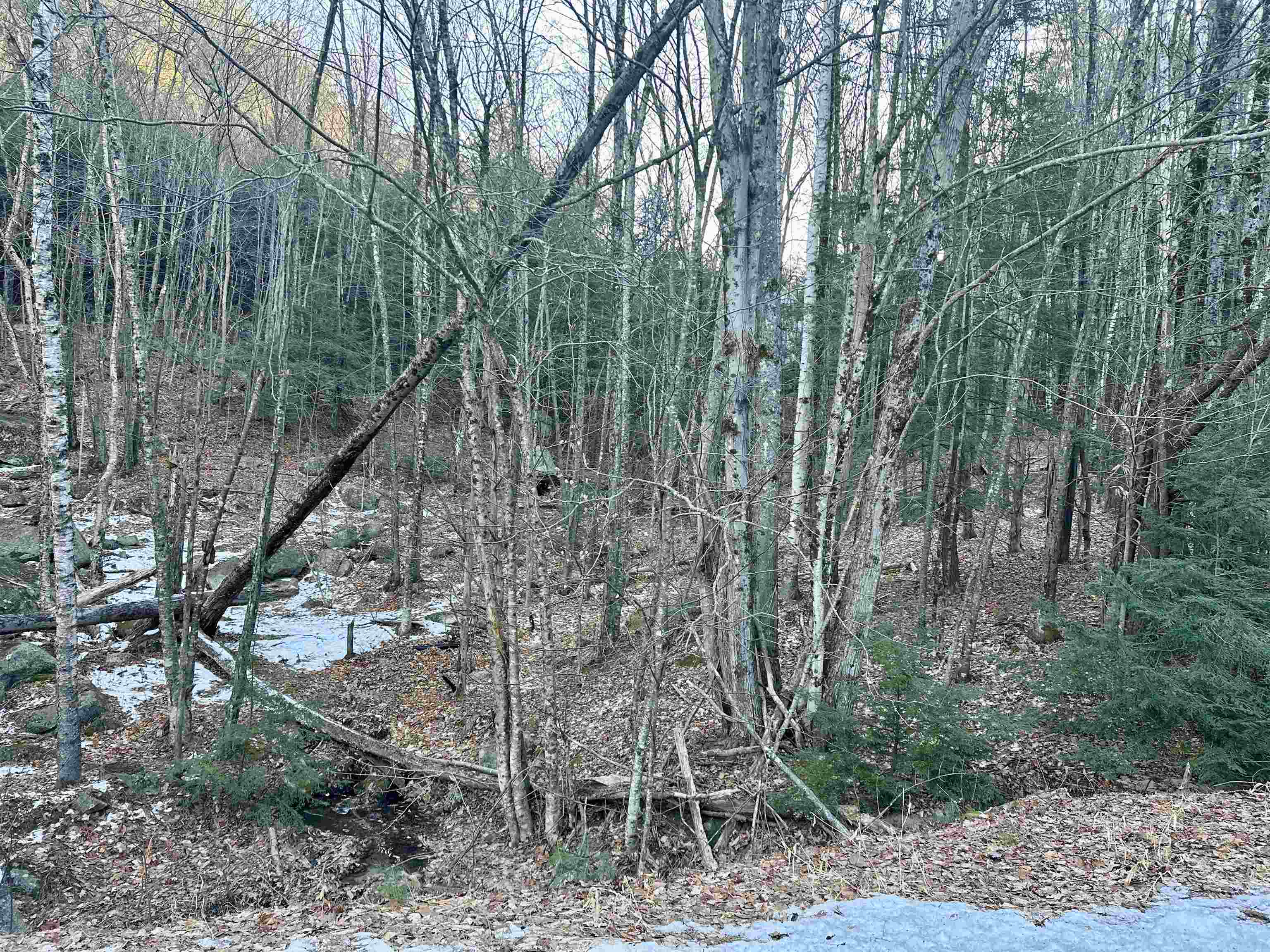4 Cheshire Circle