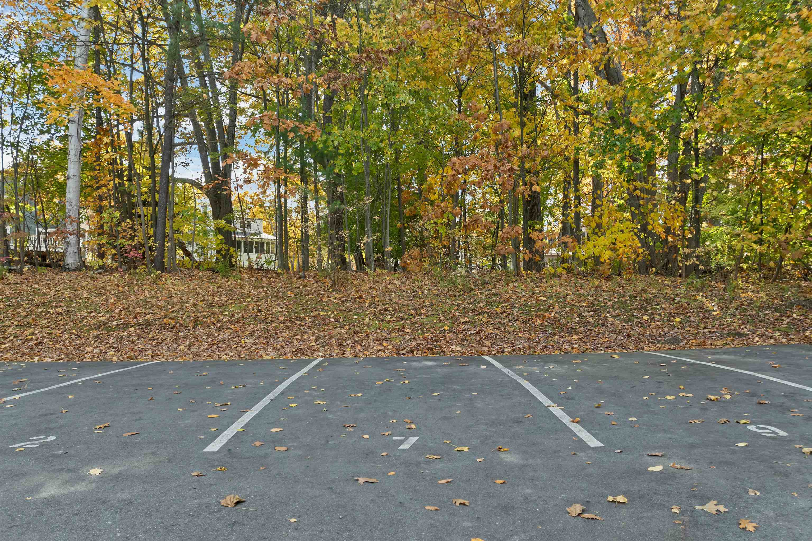 918 N Main Street Unit: 7