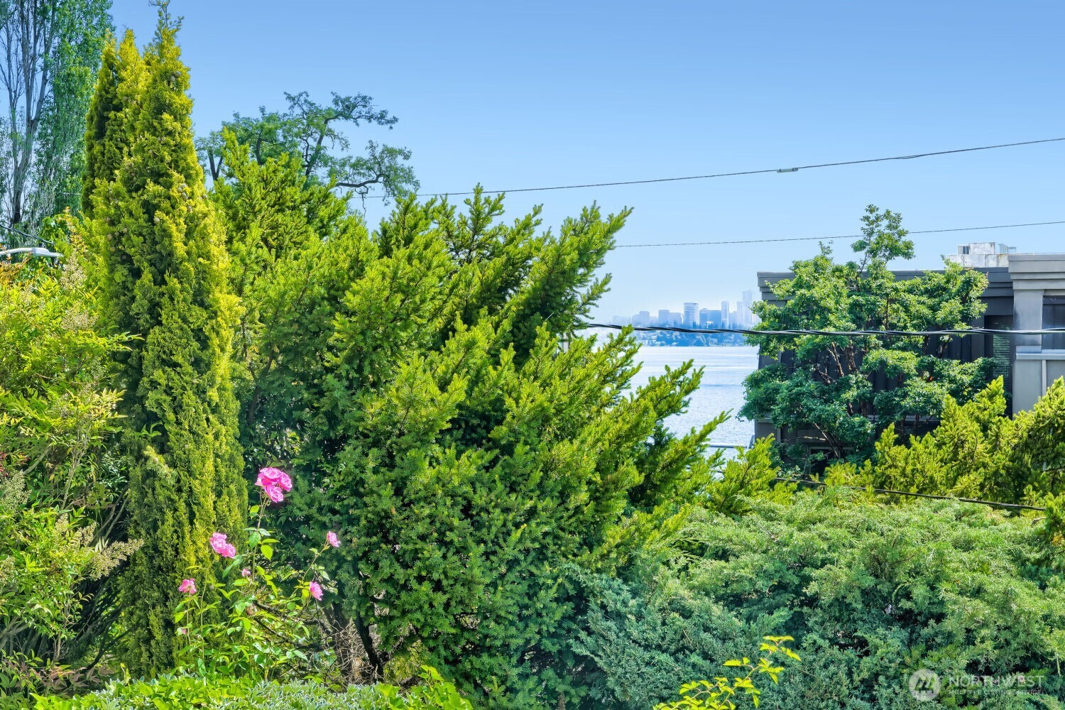 317 Lakeside Avenue S Unit: 3