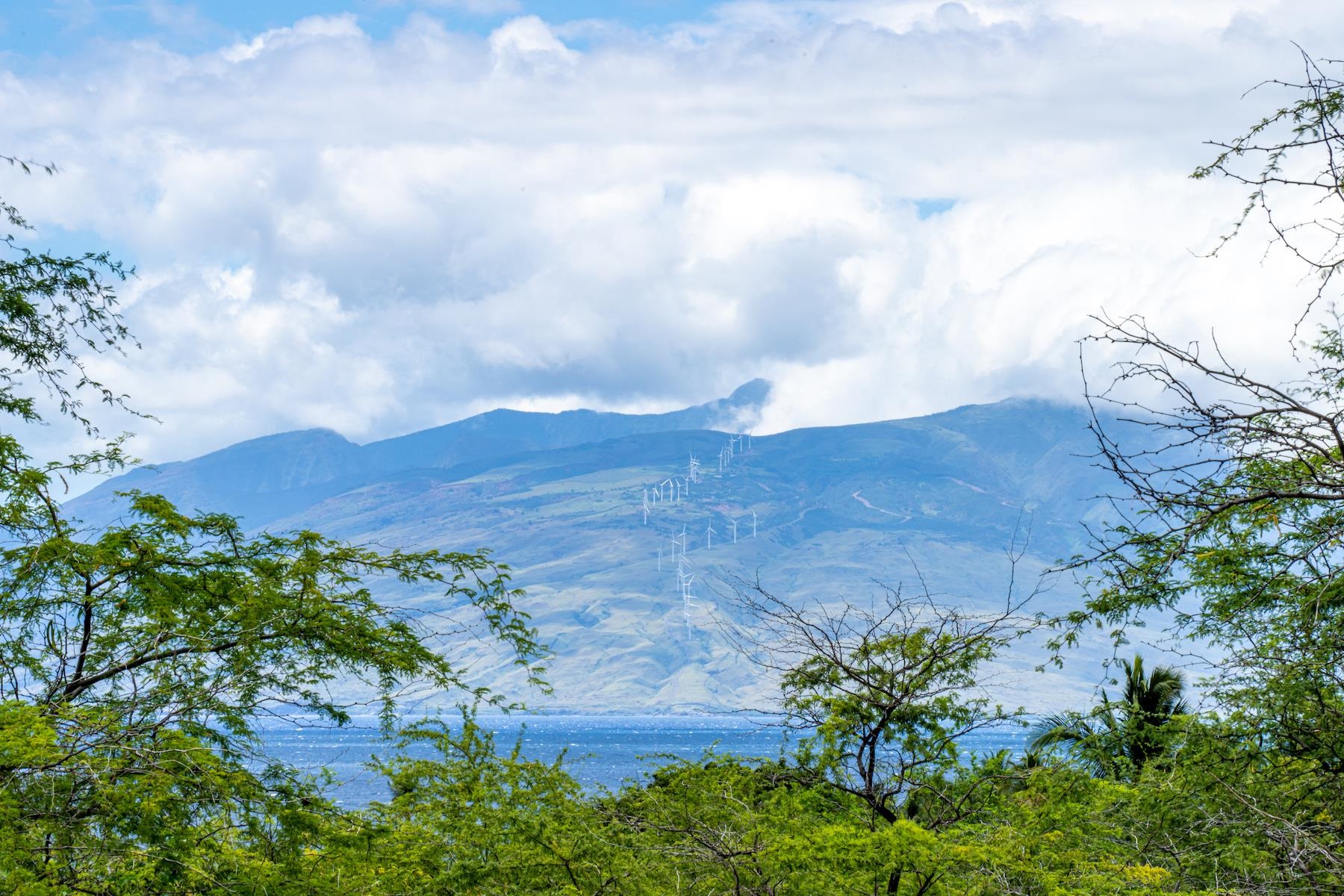 4520 Makena Alanui Dr