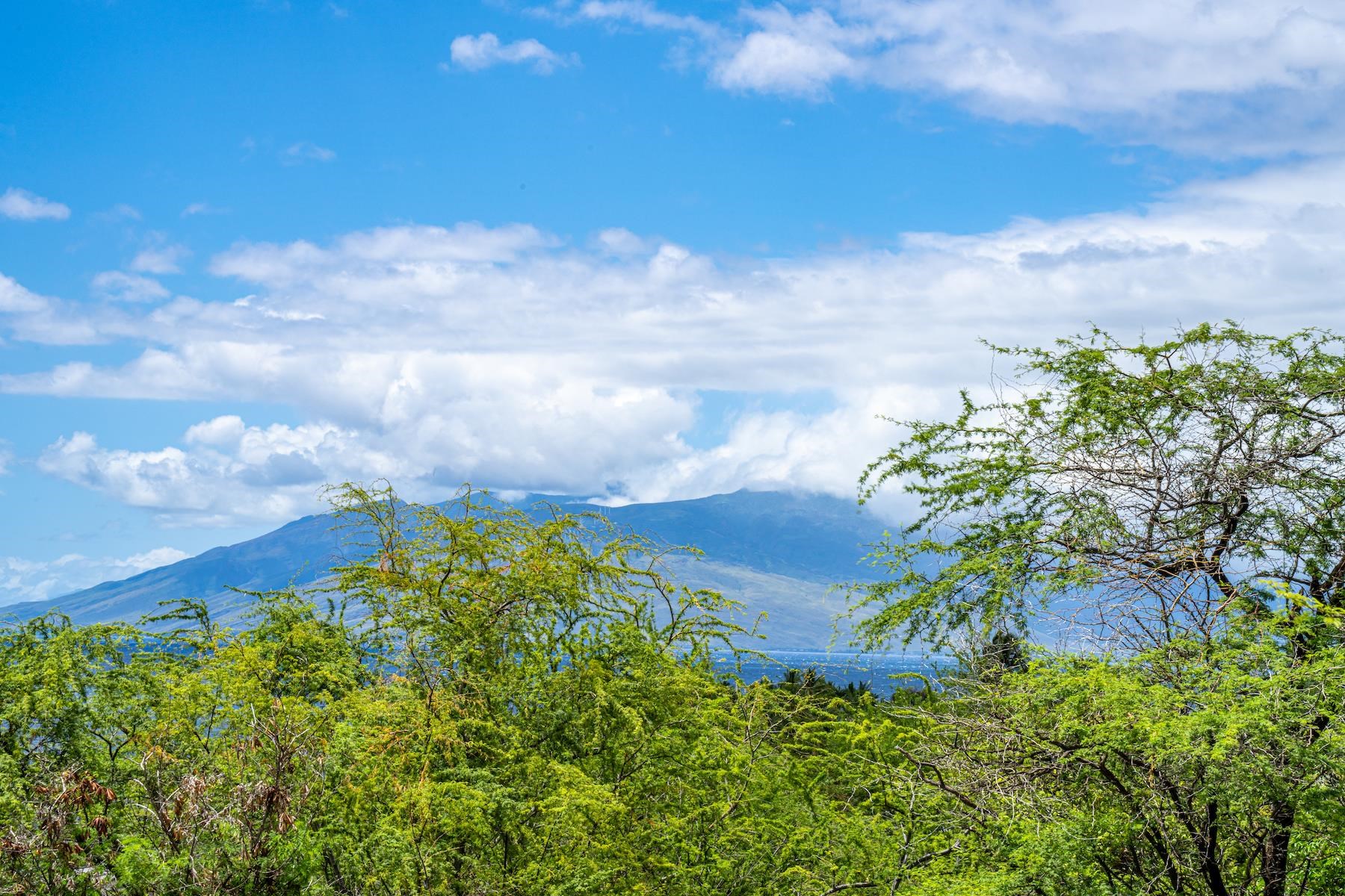 4520 Makena Alanui Dr