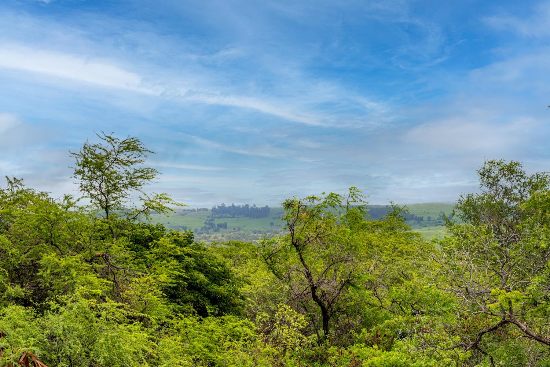 4520 Makena Alanui Dr