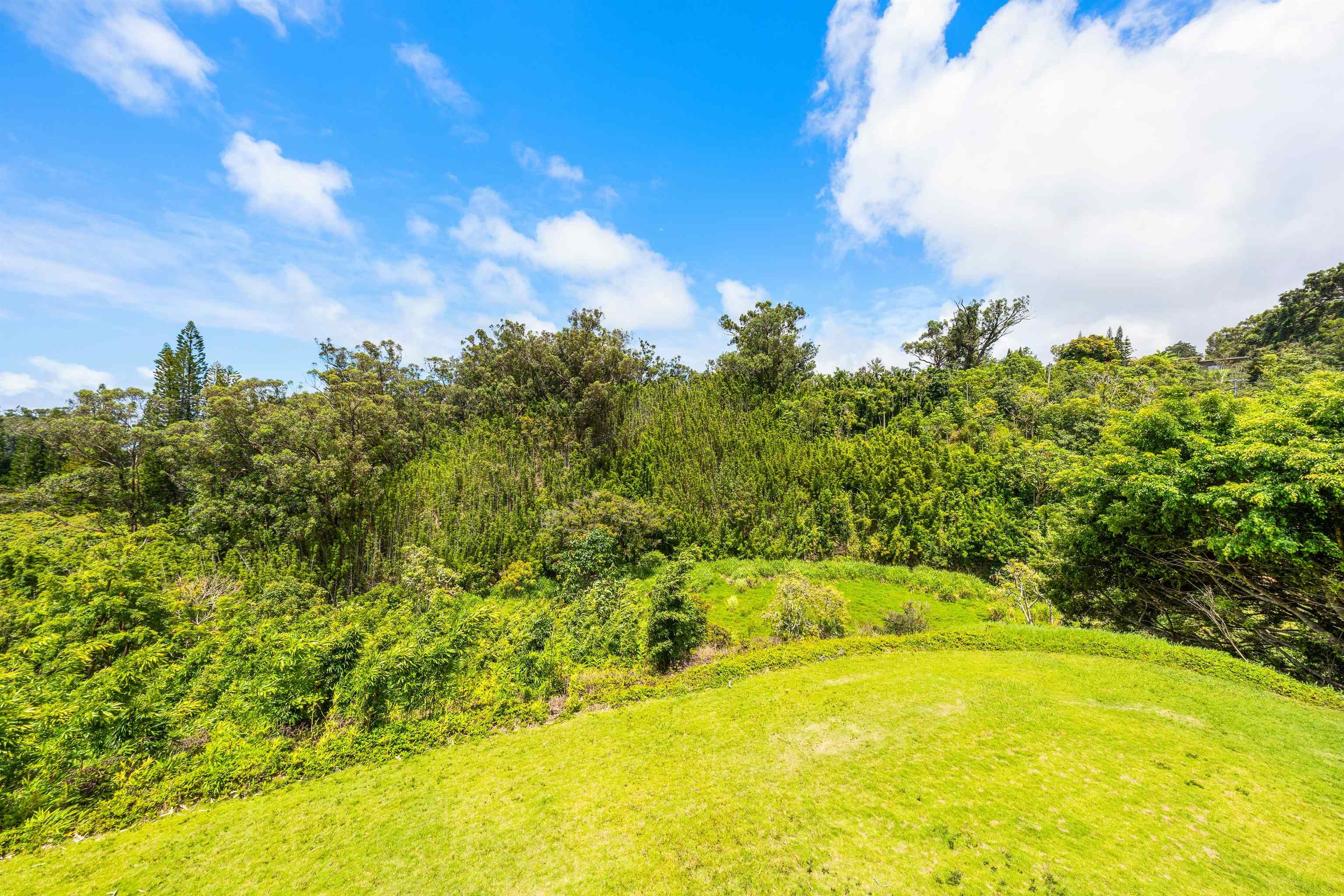 311 Awalau Rd