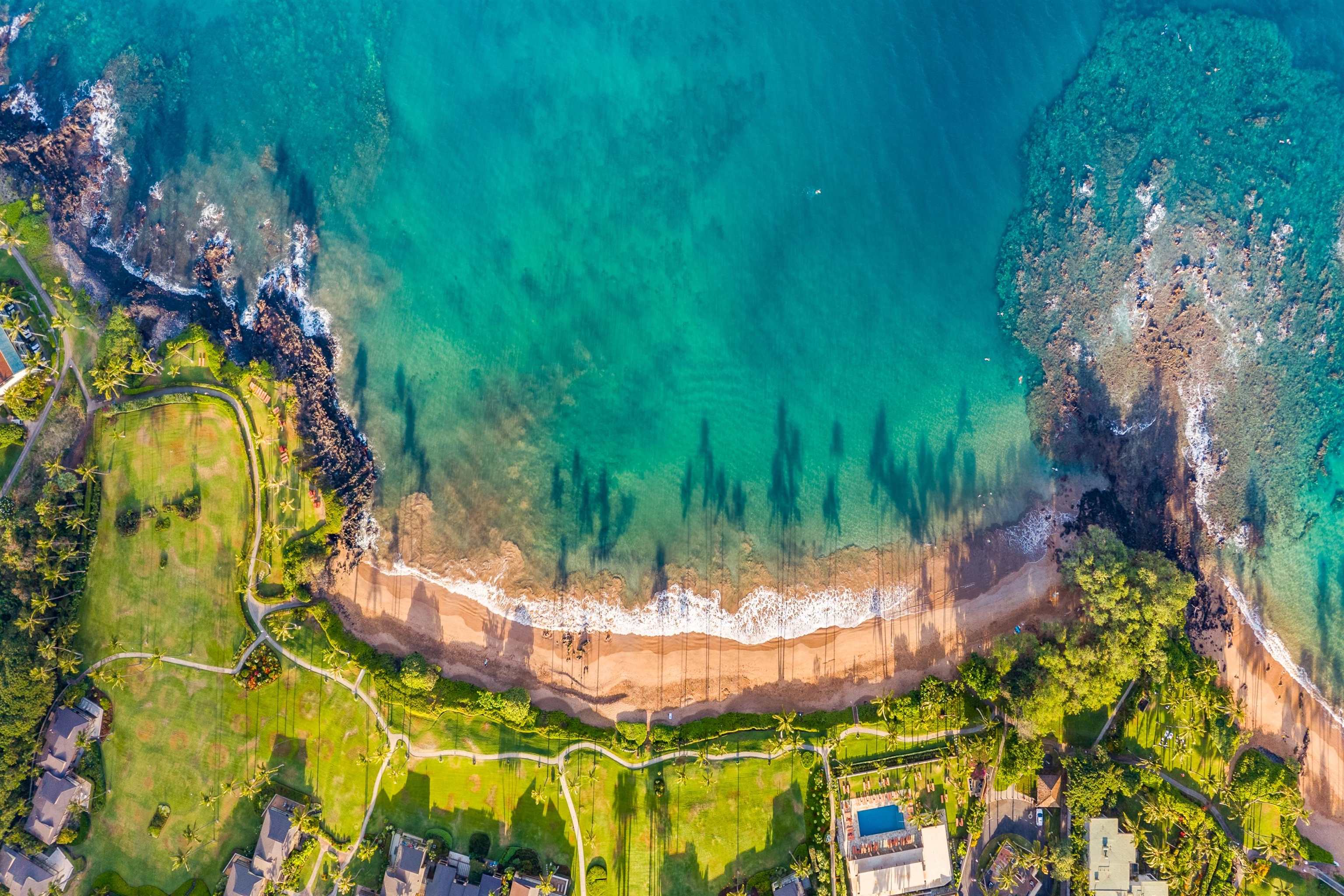 3600 WAILEA ALANUI Dr Unit: 2010
