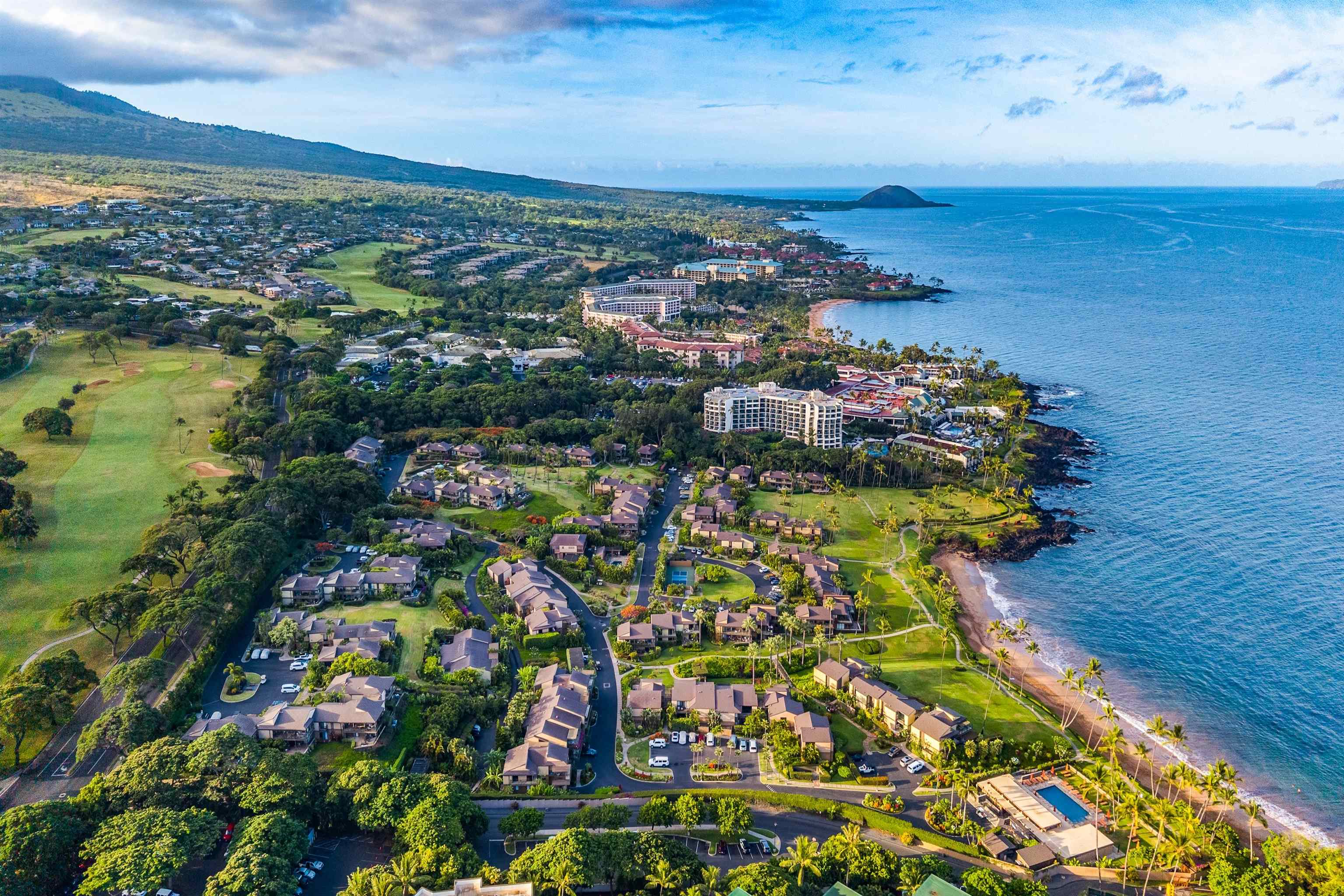 3600 WAILEA ALANUI Dr Unit: 2010