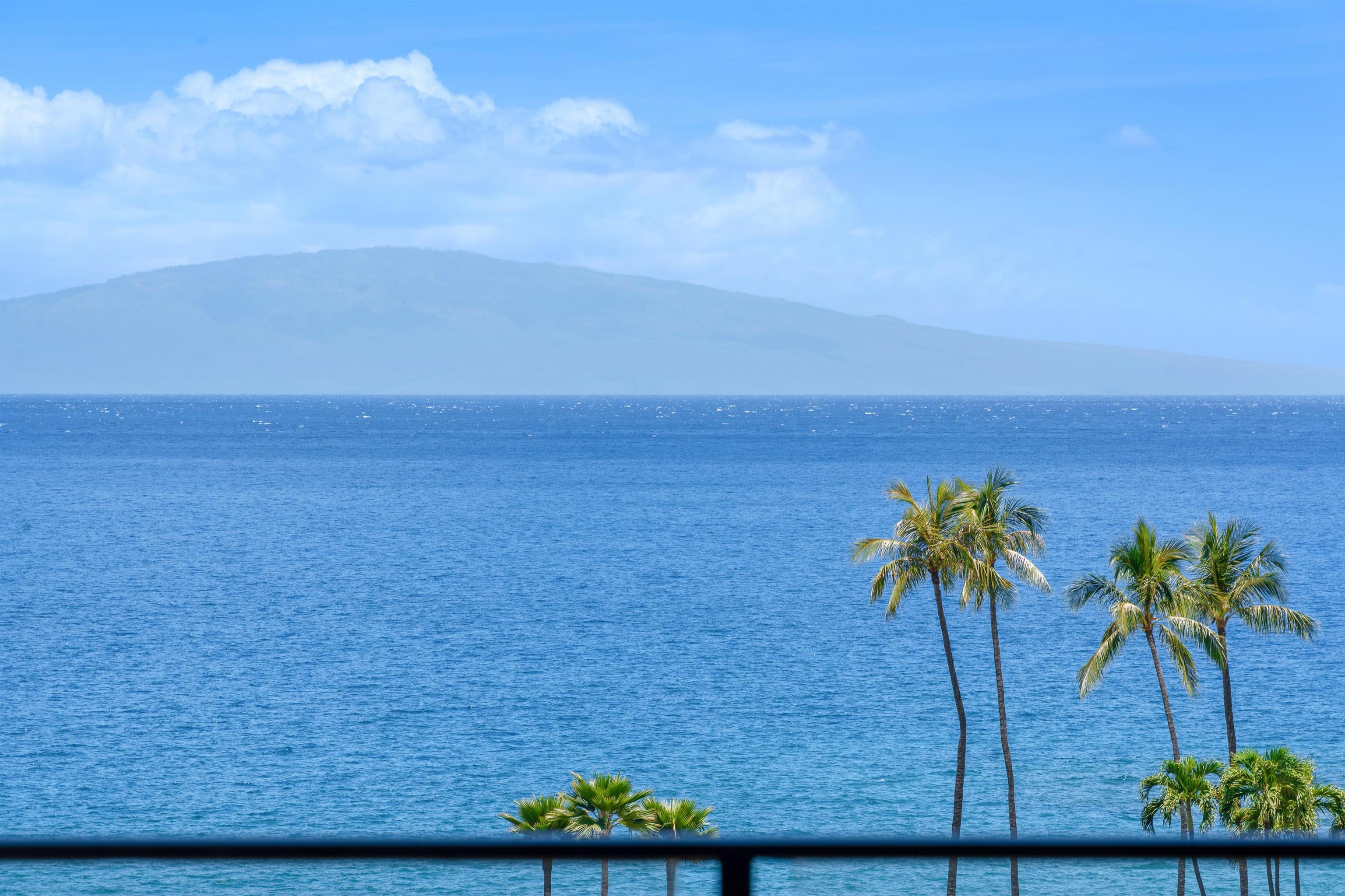 3600 WAILEA ALANUI Dr Unit: 2010