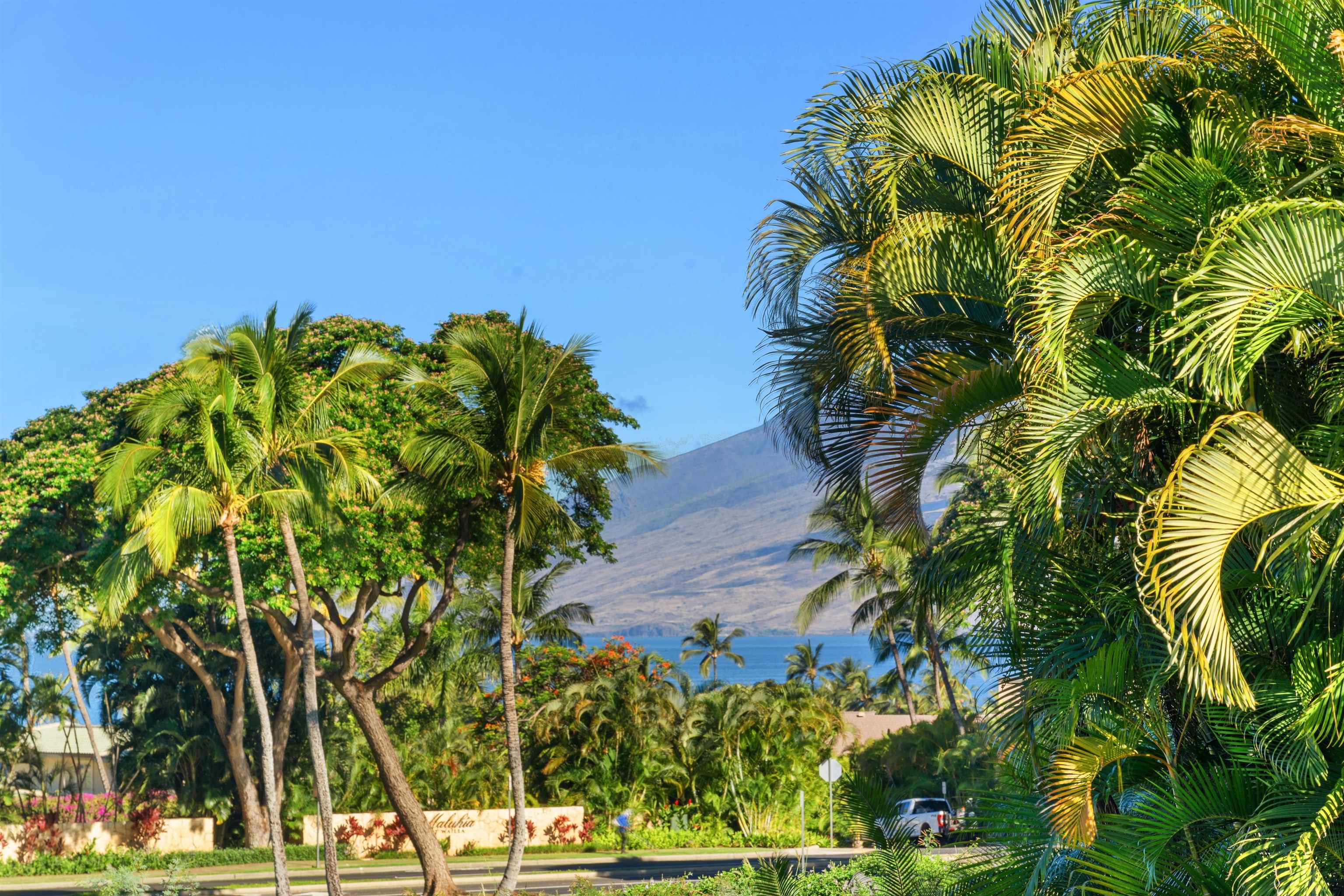 85 Hale Alii Pl