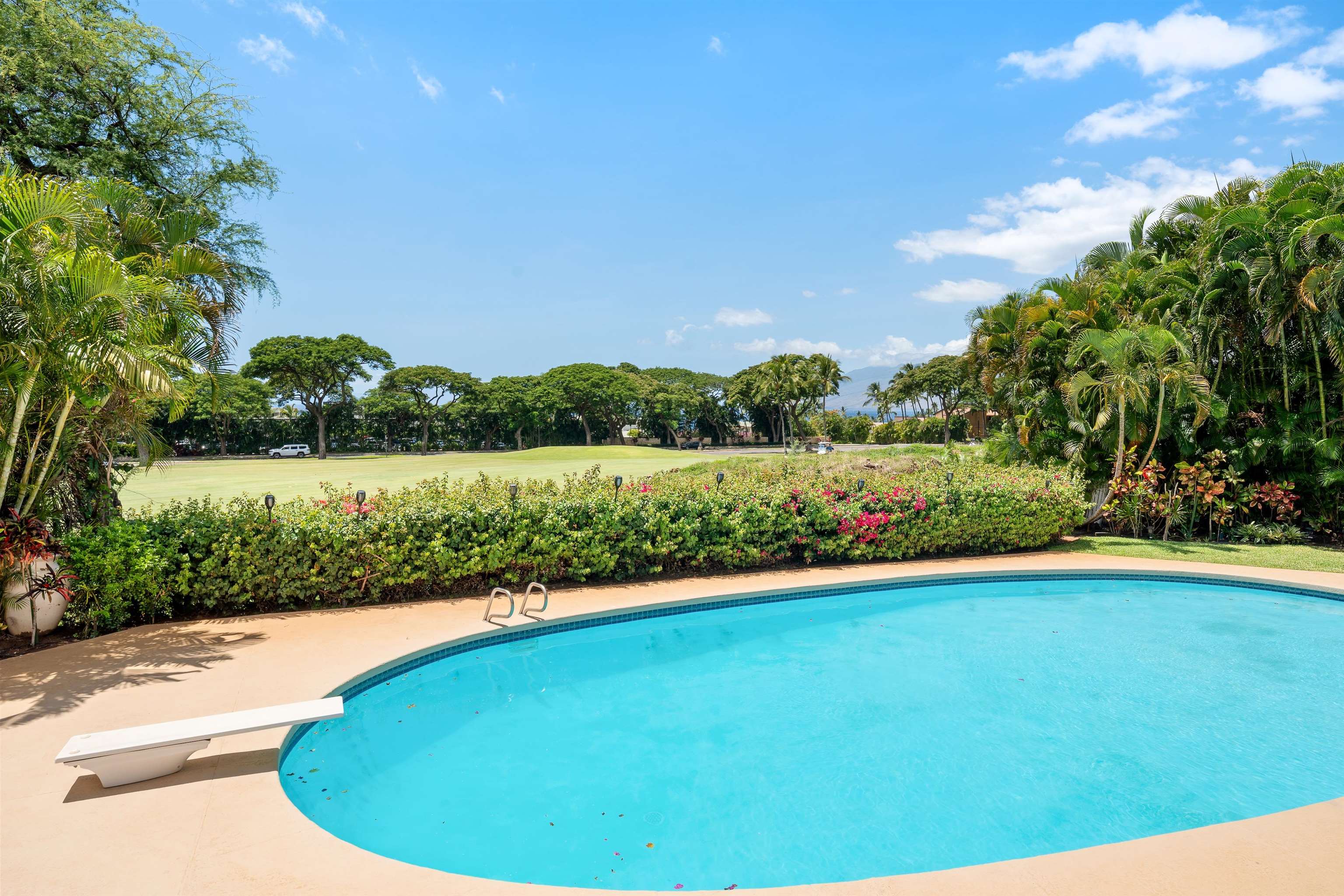 85 Hale Alii Pl