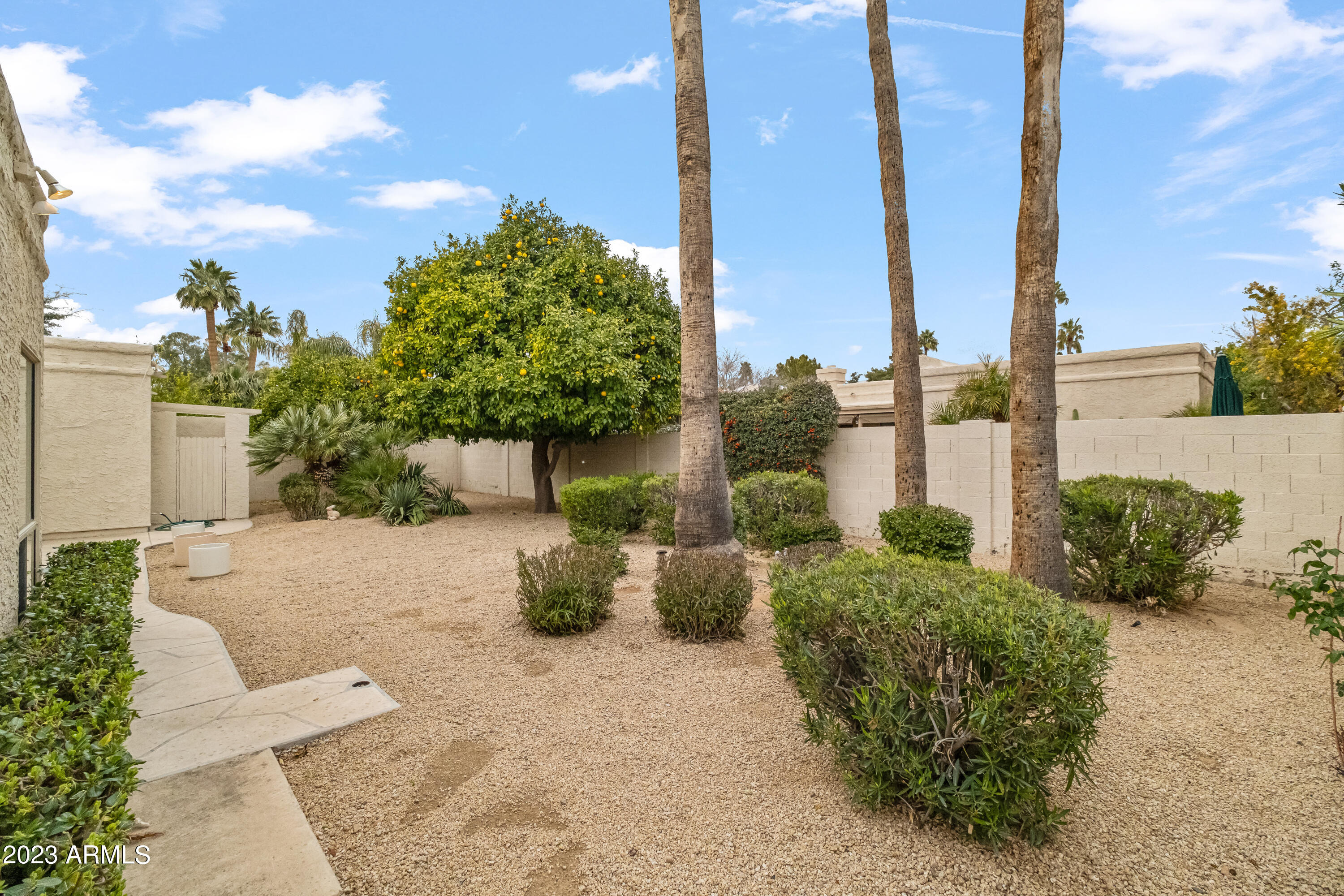 7274 E LAS PALMARITAS Drive