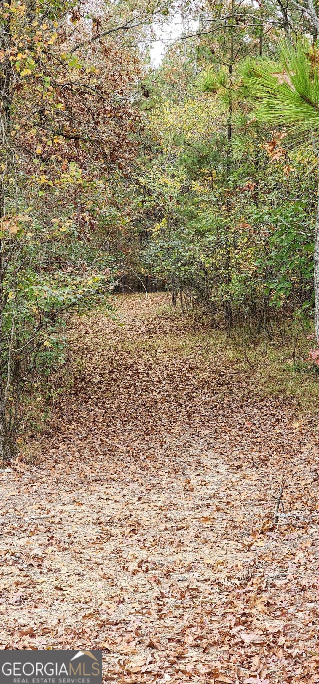 1814 Fosters Mill Road SW