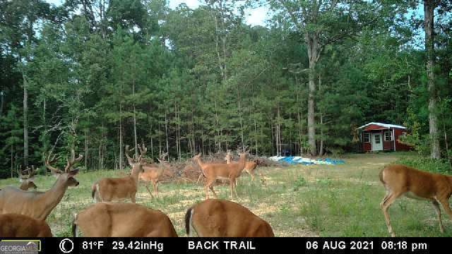 1814 Fosters Mill Road SW