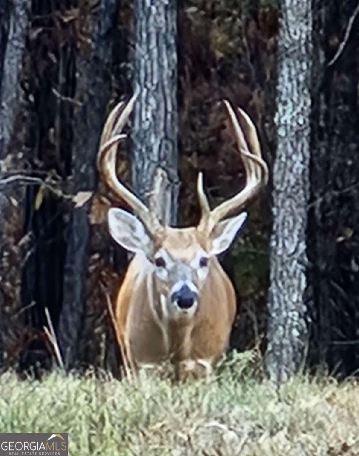 1814 Fosters Mill Road SW