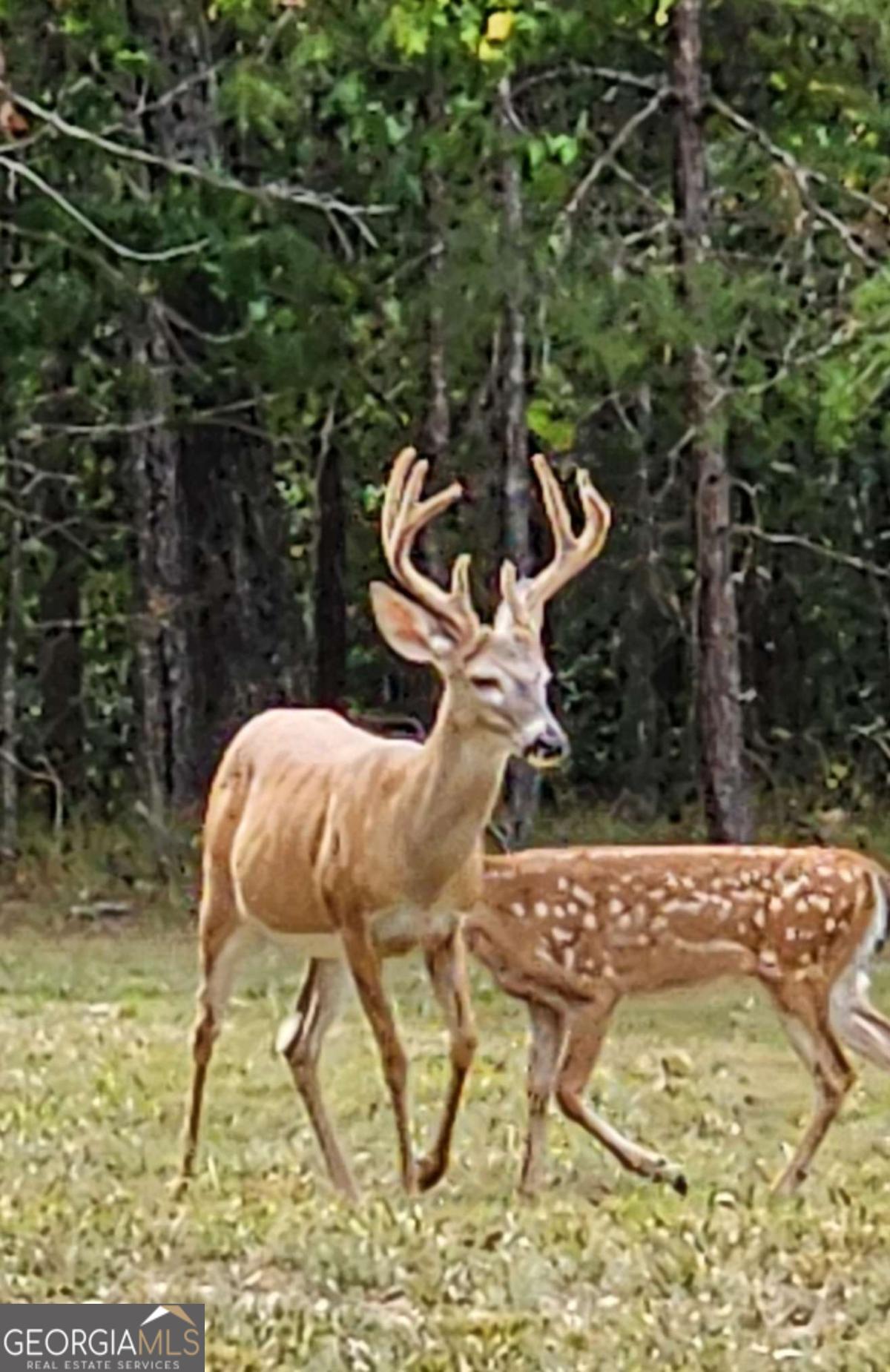 1814 Fosters Mill Road SW