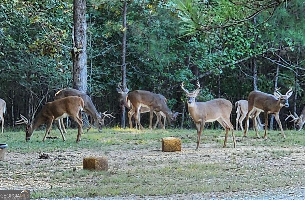 1814 Fosters Mill Road SW