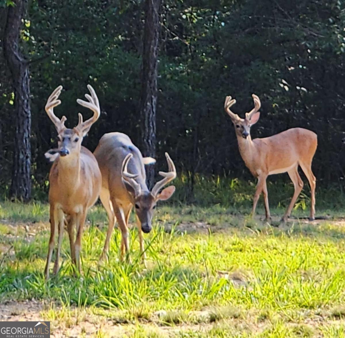 1814 Fosters Mill Road SW