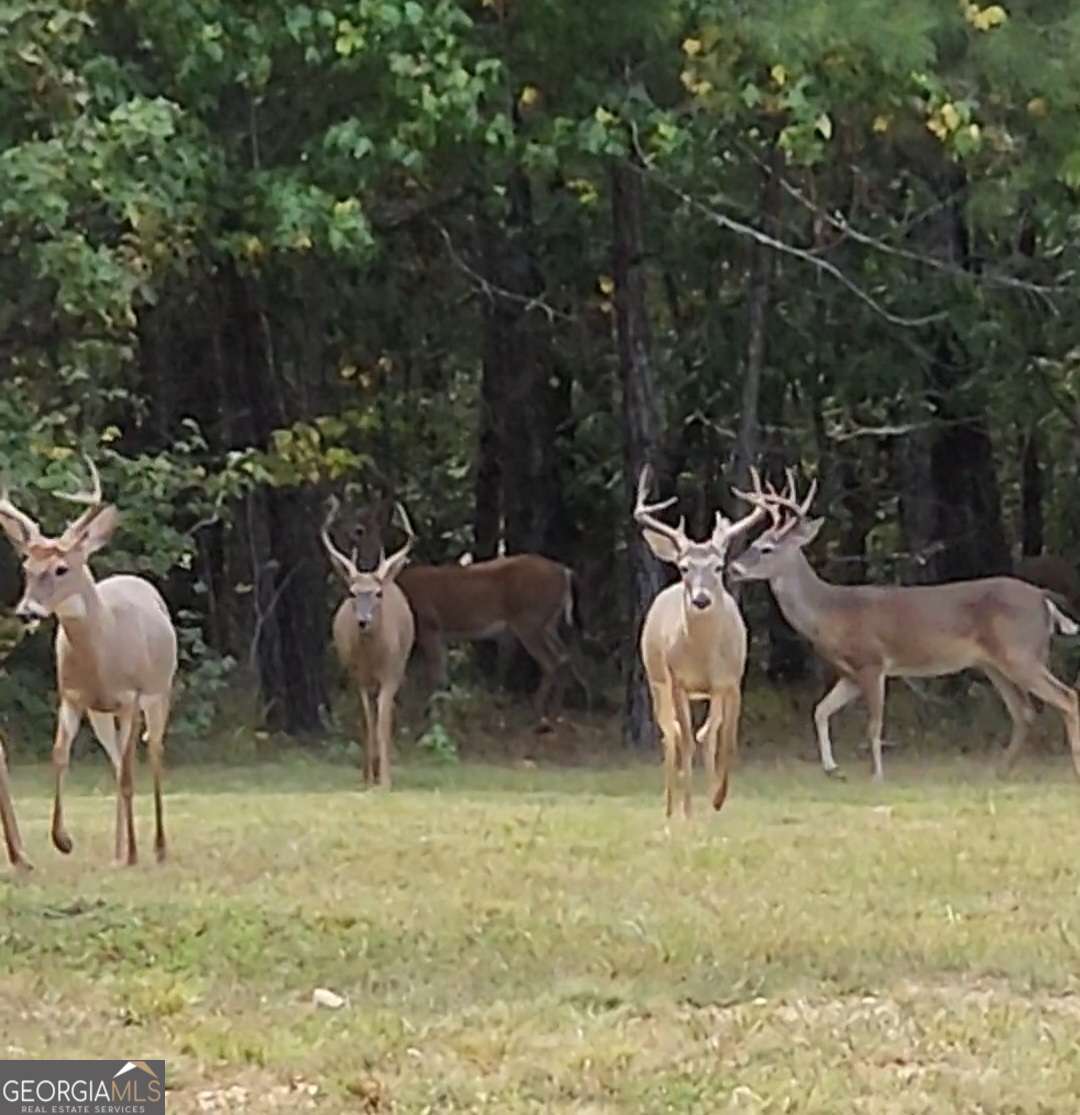 1814 Fosters Mill Road SW