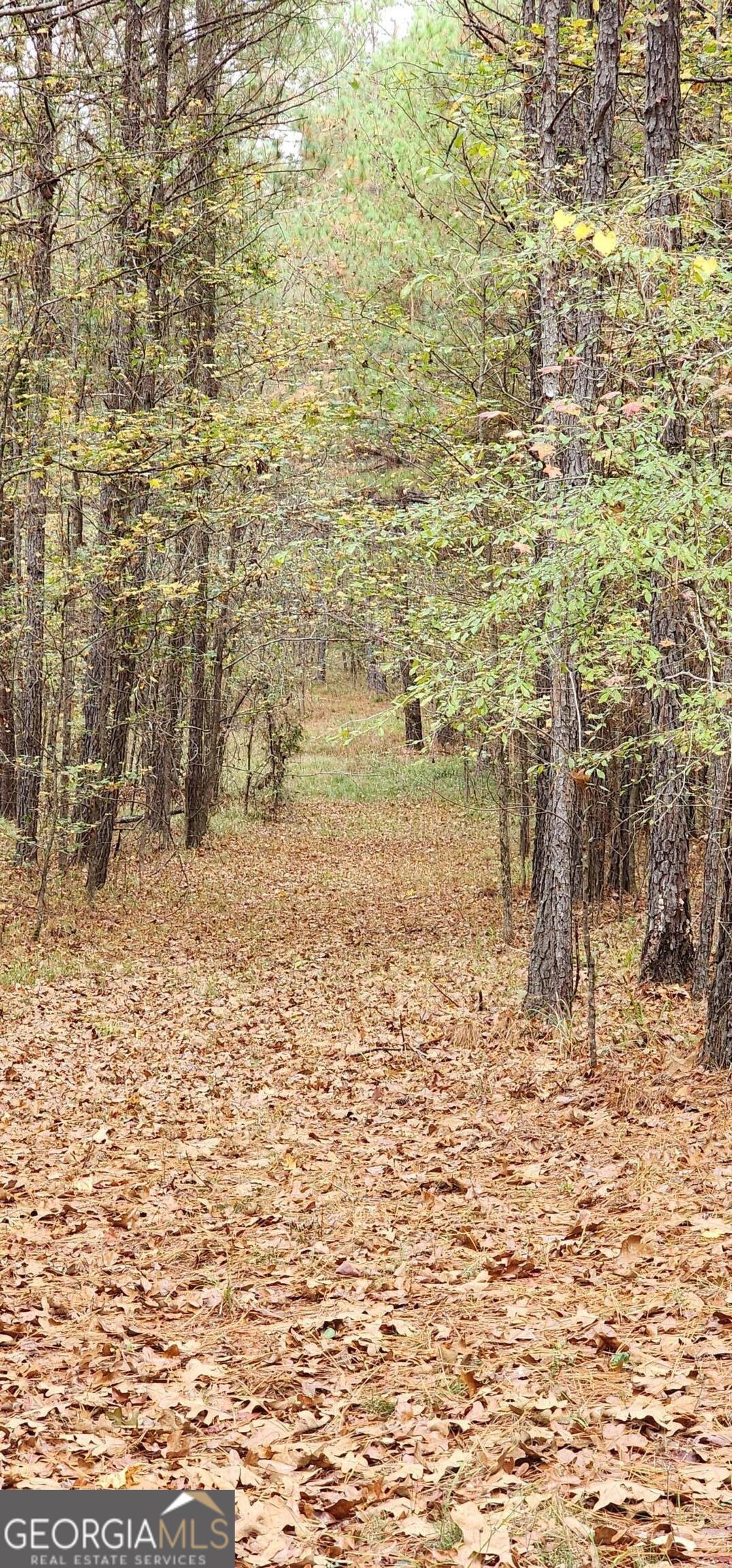 1814 Fosters Mill Road SW