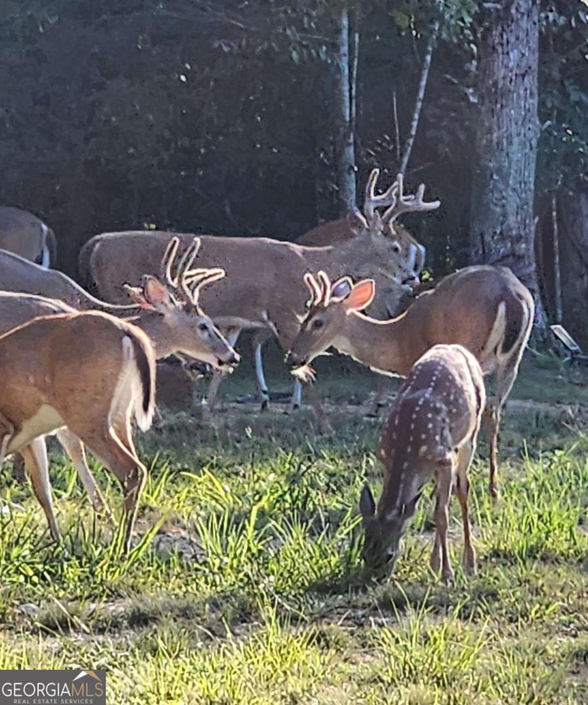 1814 Fosters Mill Road SW