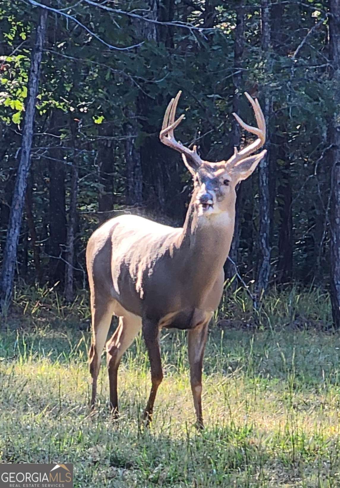 1814 Fosters Mill Road SW