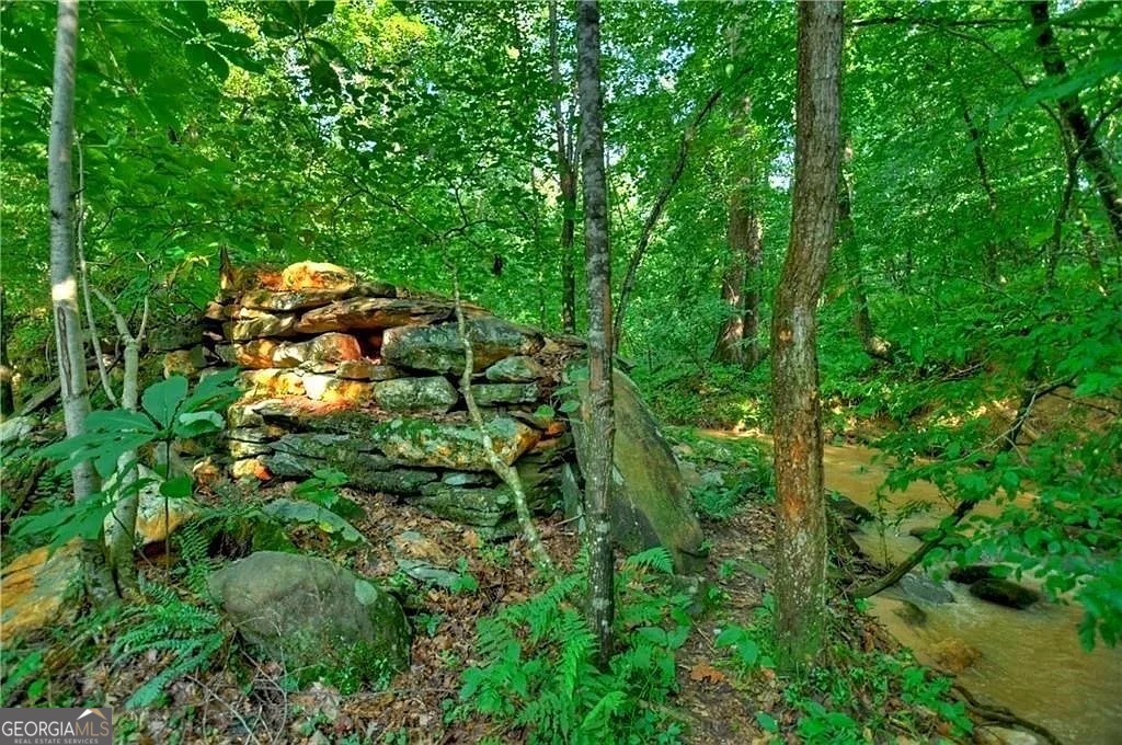 0 Lower Toccoa Hills Road