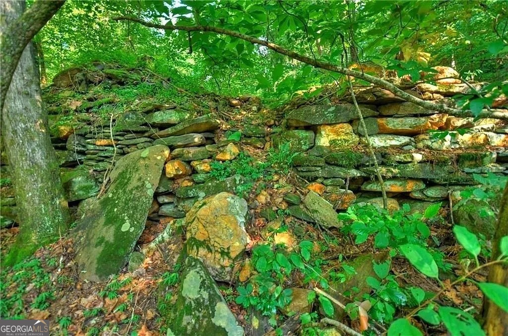 0 Lower Toccoa Hills Road