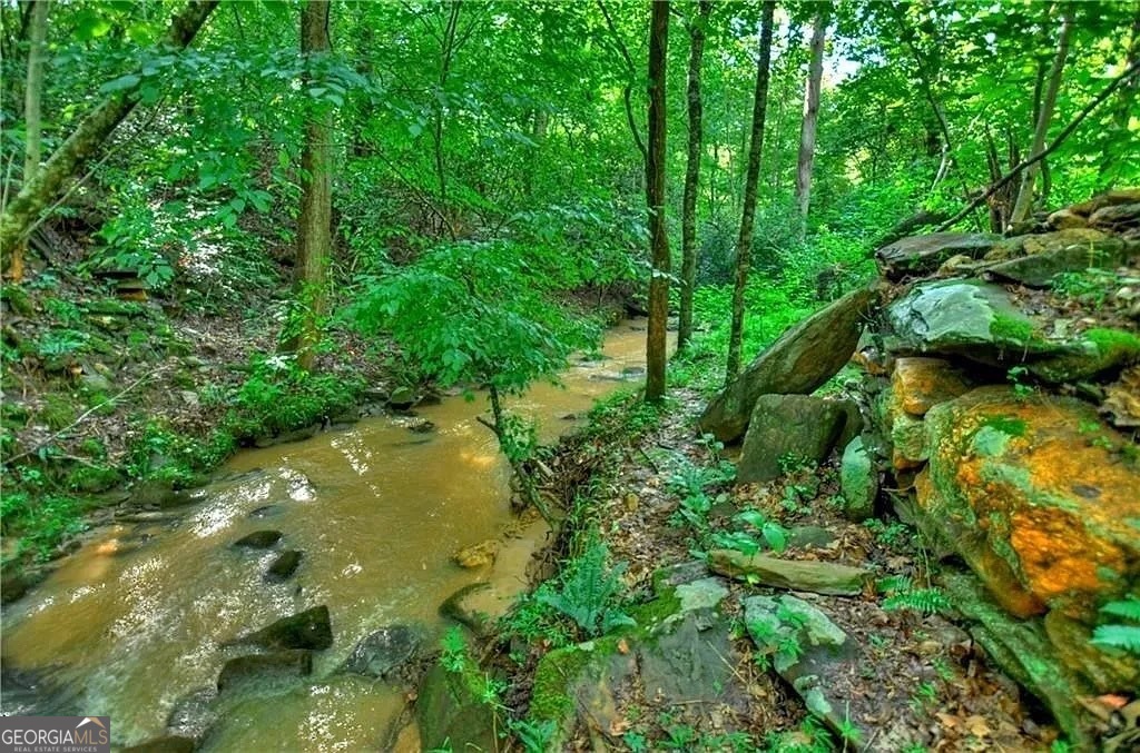 0 Lower Toccoa Hills Road