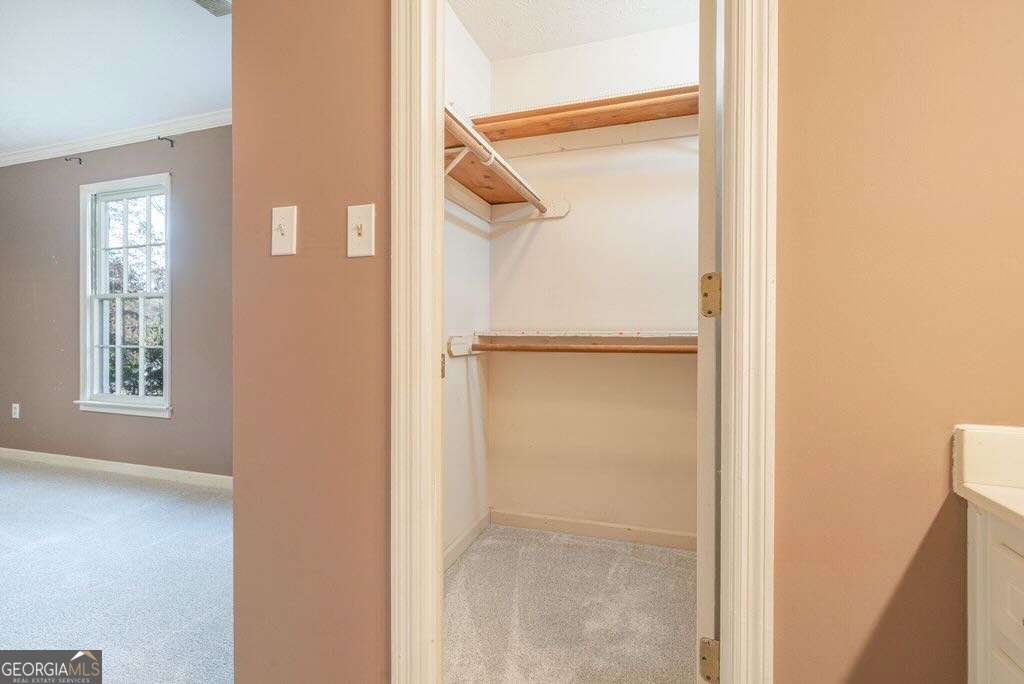 1765 Blackwillow Drive