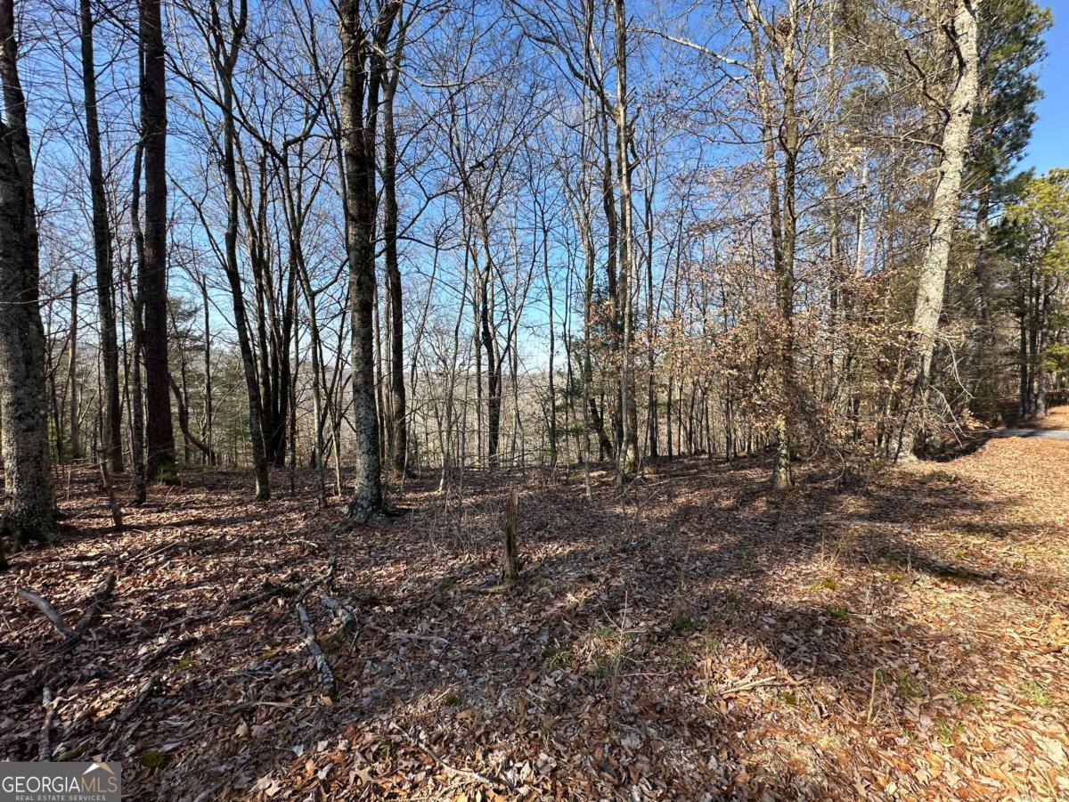 LOT 1640 Hunter Drive # 1640