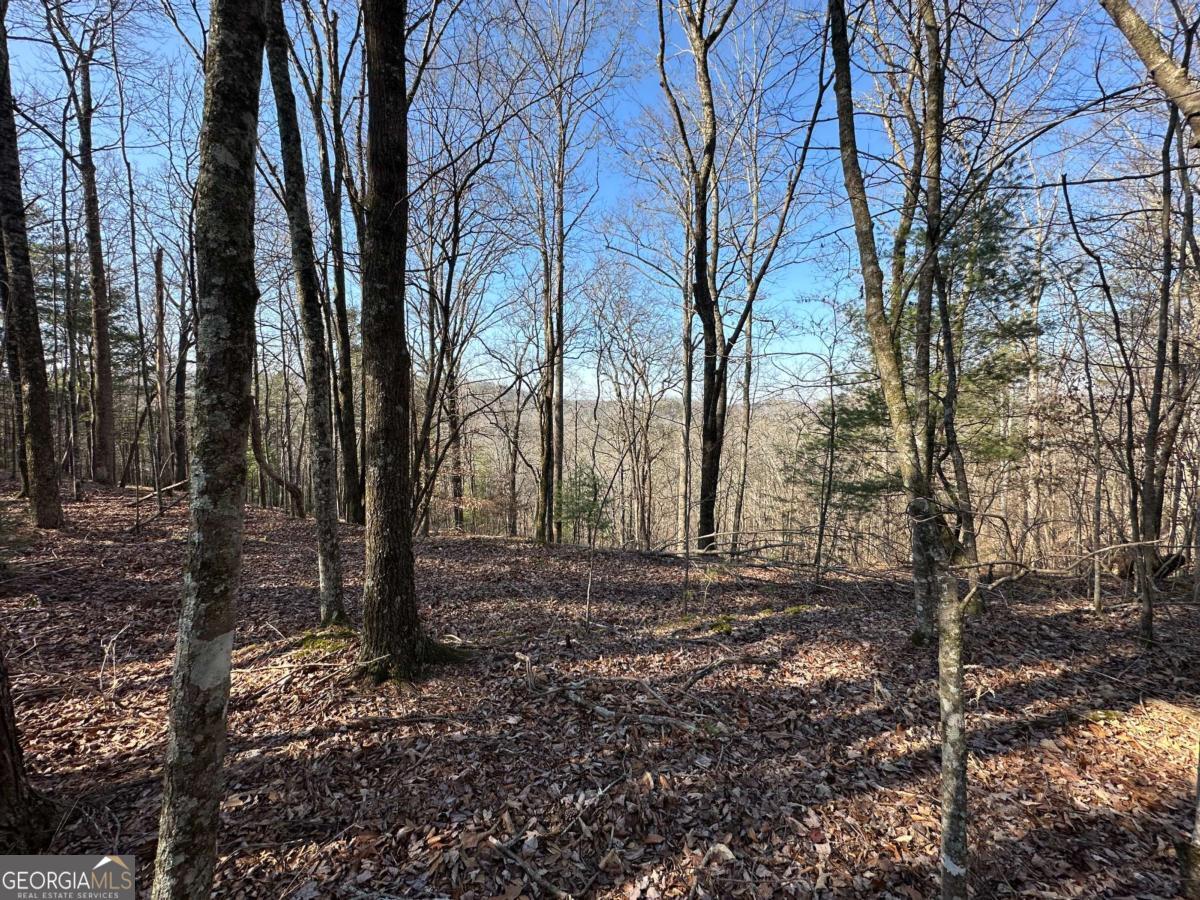 LOT 1640 Hunter Drive # 1640