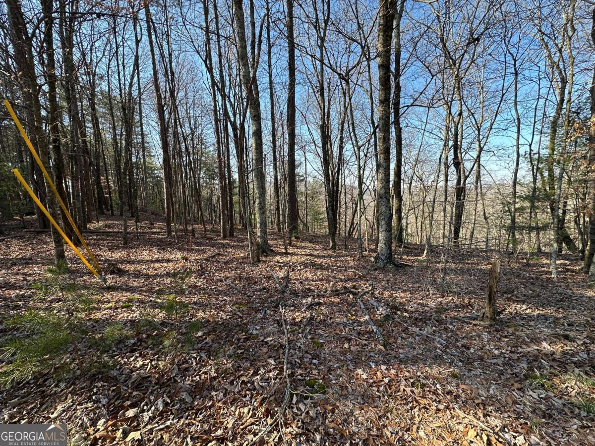 LOT 1640 Hunter Drive # 1640